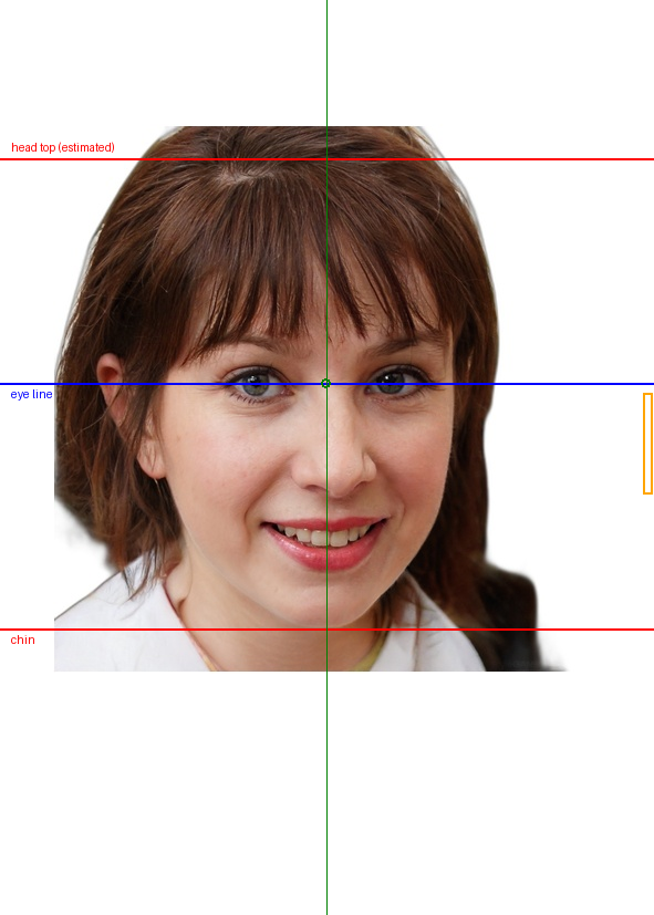 Canadian passport photo with measurement overlay