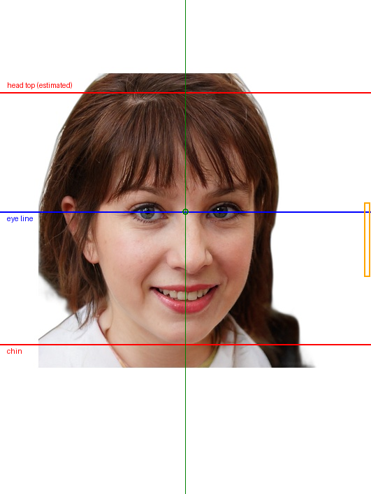 UK passport photo with measurement overlay