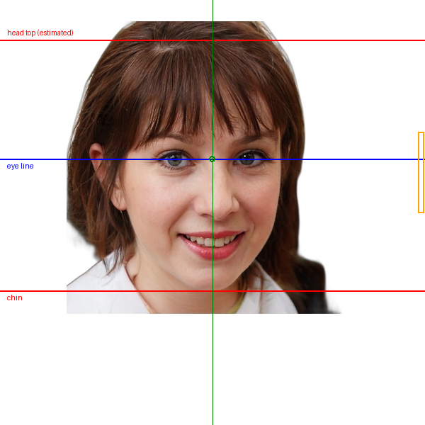 US passport photo with measurement overlay